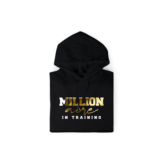 Millionaire In Training